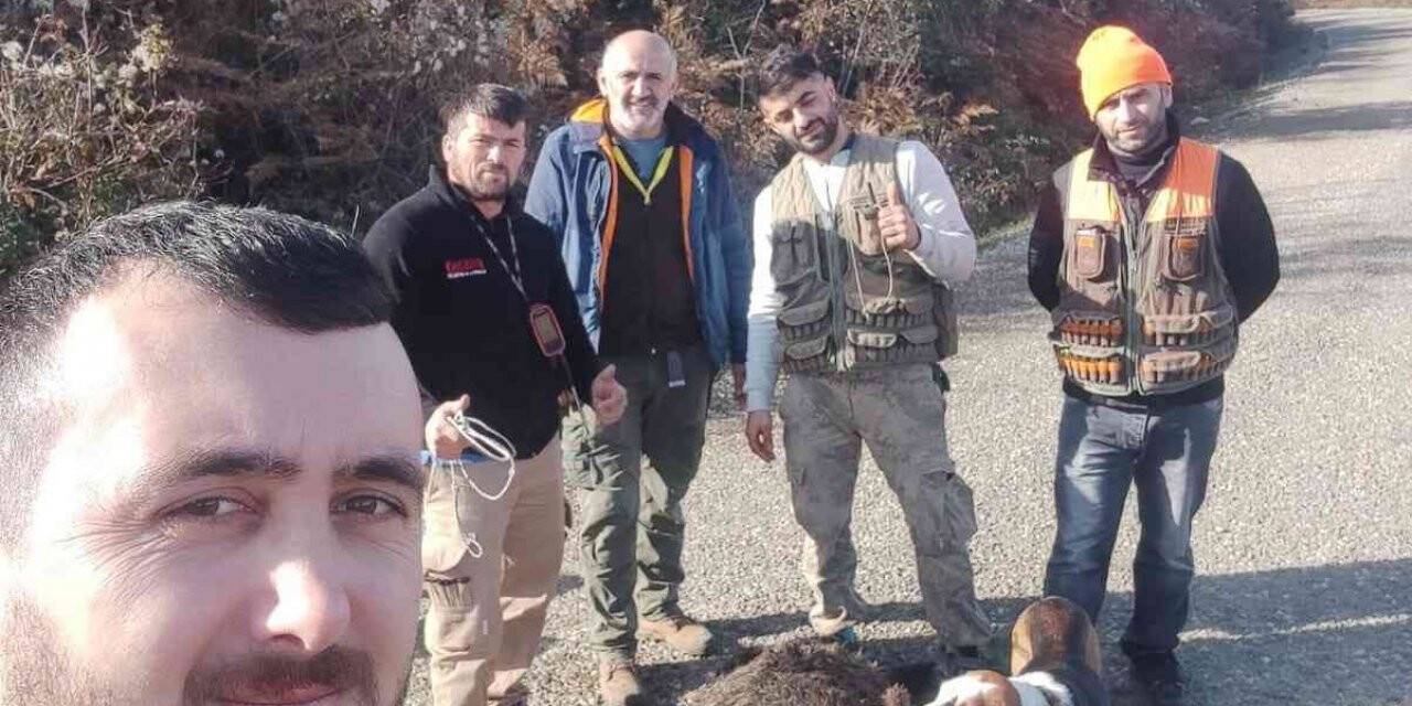 Türkelili avcılar, 200 kilonun üzerindeki domuzu avladı
