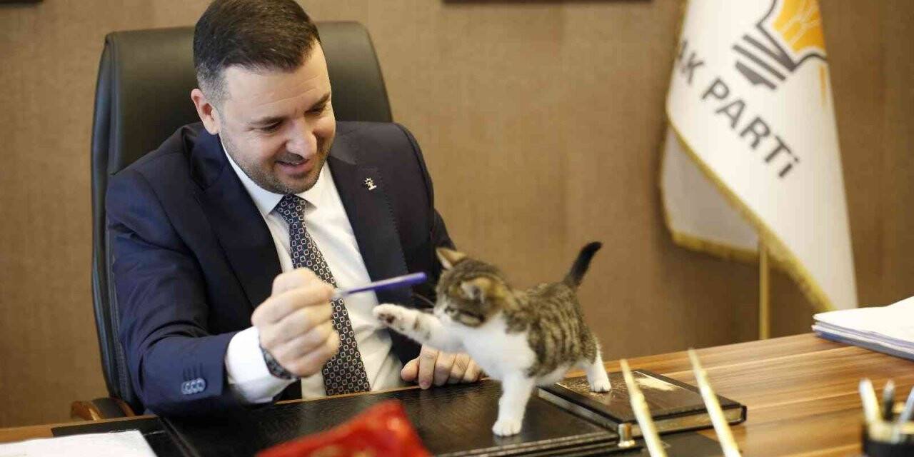 Yalova’nın en ‘Şanslı’sı