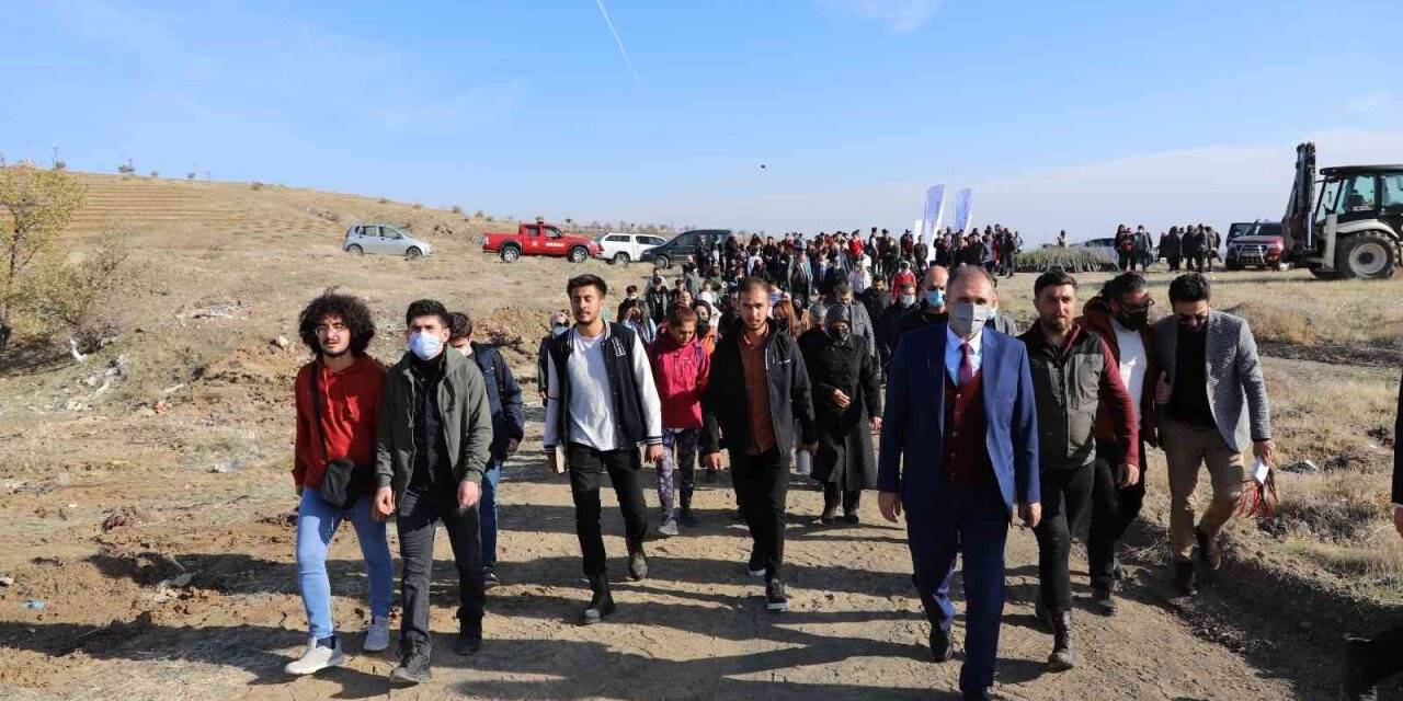 FÜ’de 23 bin fidan toprakla buluşturuldu