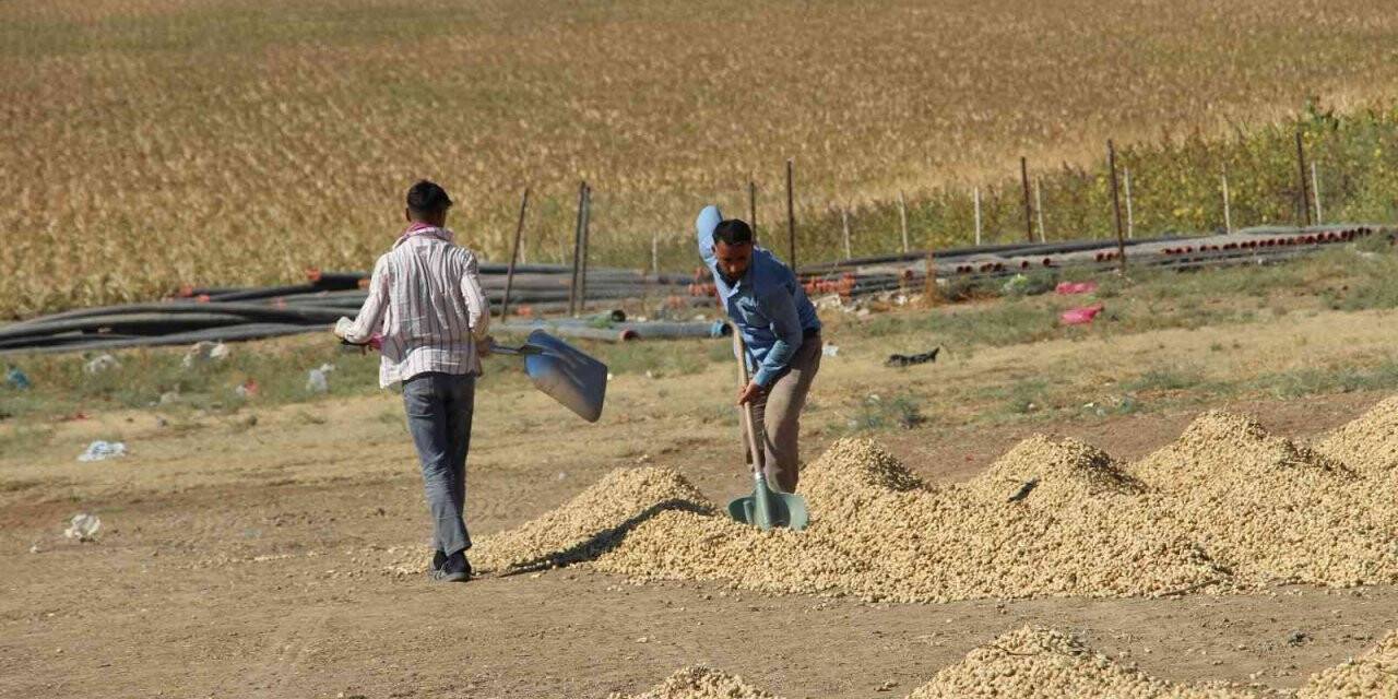 Güven ve huzur ortamı Şırnak’a yaradı