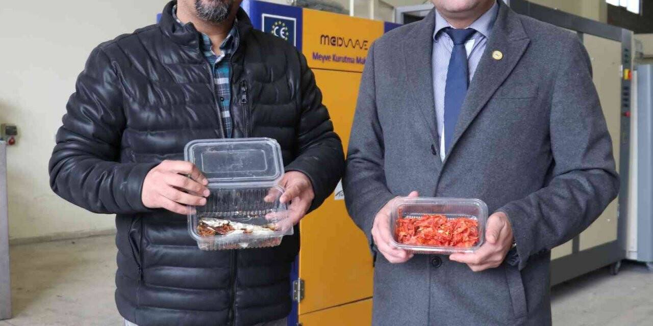 Van balığı elektromanyetik dalgalarla çalışan makinelerde kurutuluyor