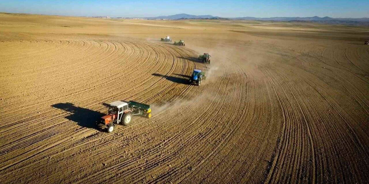 Hibe 80 bin kilogram buğday ve arpa tohumu toprakla buluştu