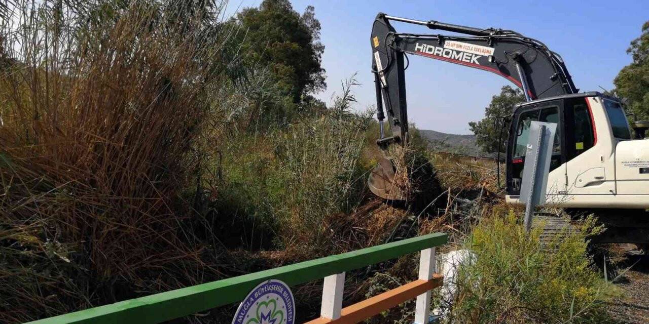Fethiye’de 19 kilometre dere temizliği yapıldı
