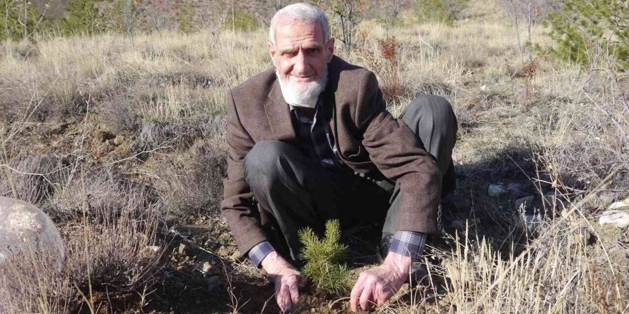 81’lik çınar fidan dikerek doğaya can veriyor