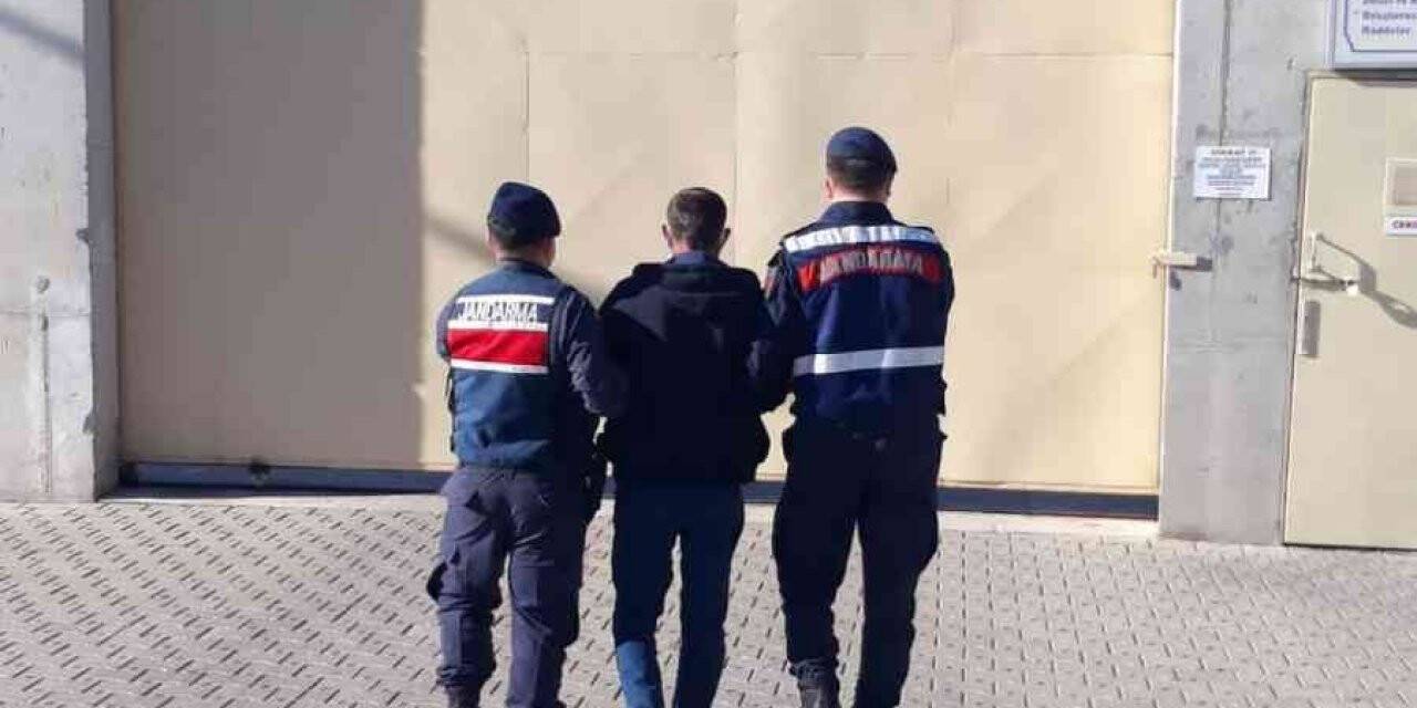 Burhaniye’de kanun kaçağını jandarma yakaladı