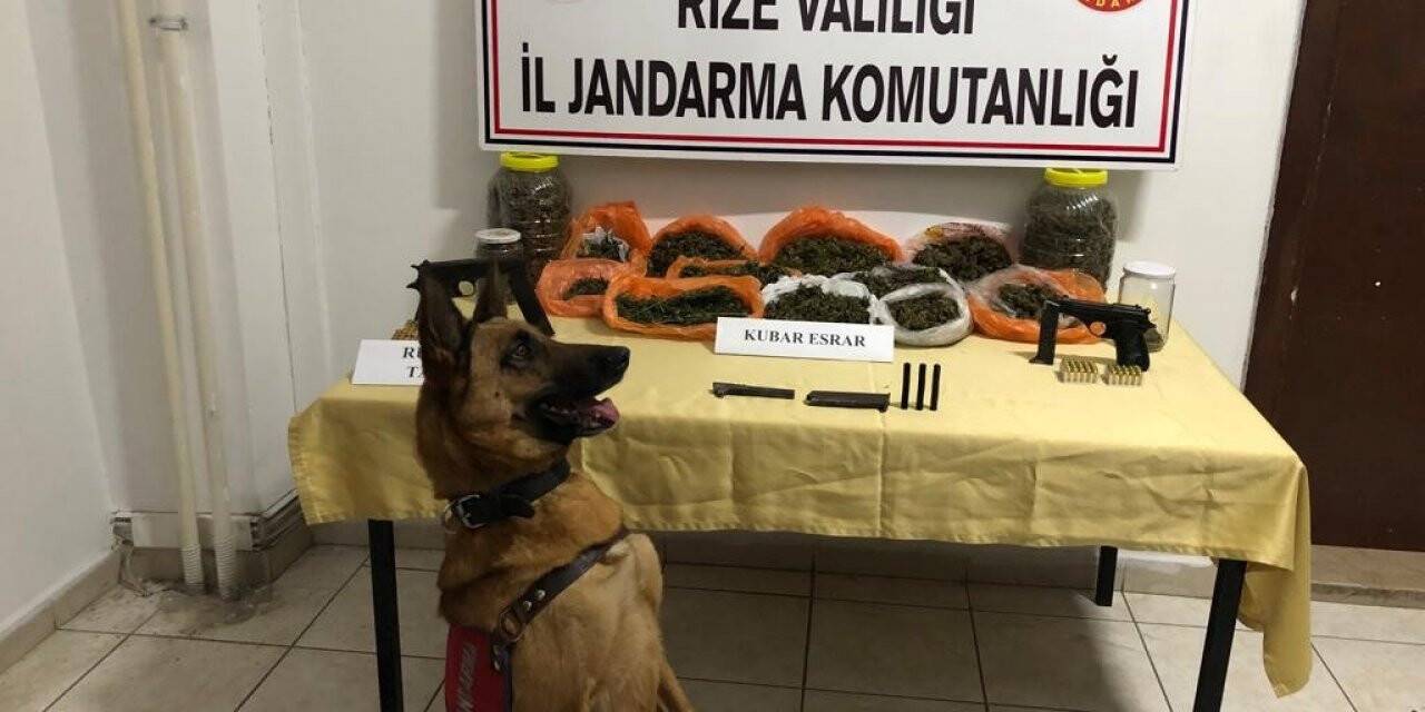 Rize’de uyuşturucu operasyonu: 2 kişi gözaltına alındı