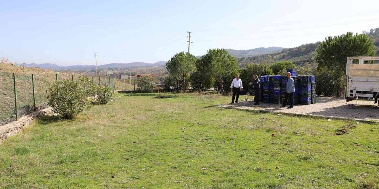Yunusemre Belediyesinden Türkmen’e pekmez kaynatma tesisi