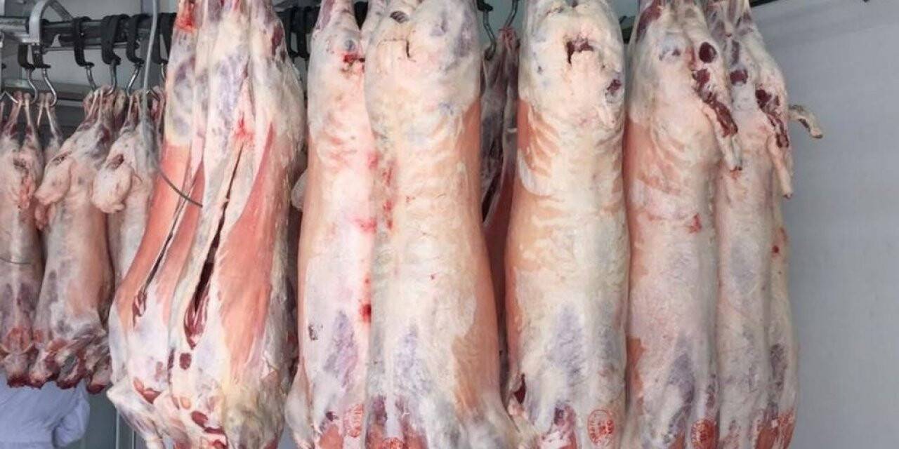 Düzceliler 68 ton et tüketti