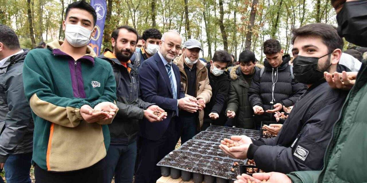 OMÜ Kurupelit Kampüsü’nde ’meşe palamutları’ toprakla buluştu