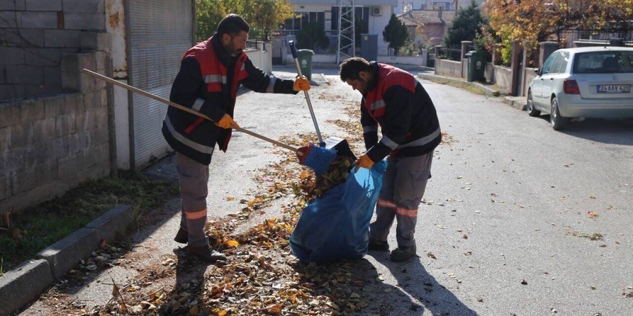 Belediyeden sonbahar temizliği