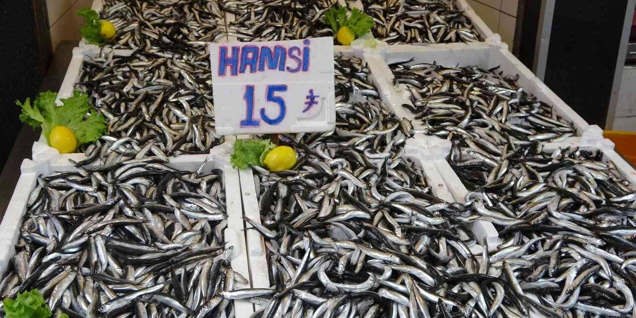 Ordu’da hamsinin kilosu 15 lira