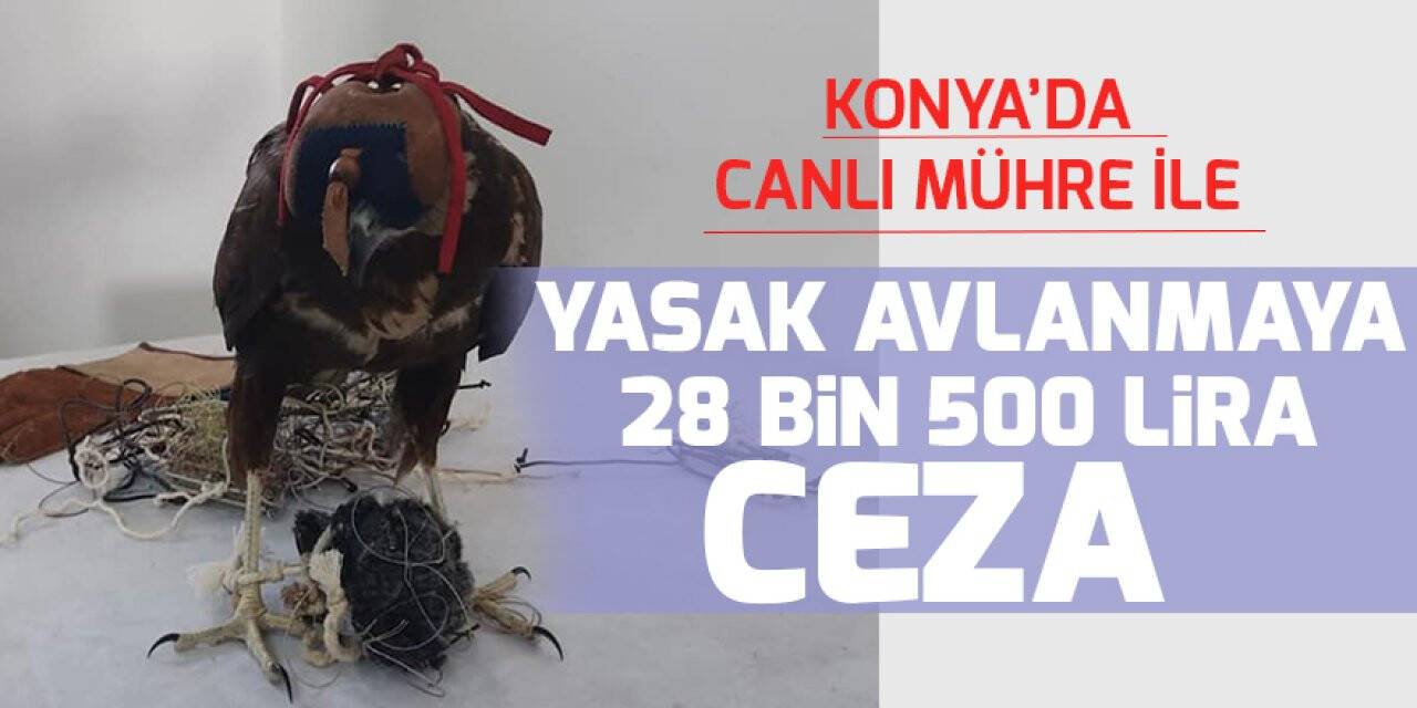 Konya’da canlı mühre ile yasak avlanmaya 28 bin 500 lira ceza