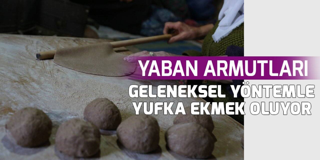 Yaban armutları geleneksel yöntemle yufka ekmek oluyor
