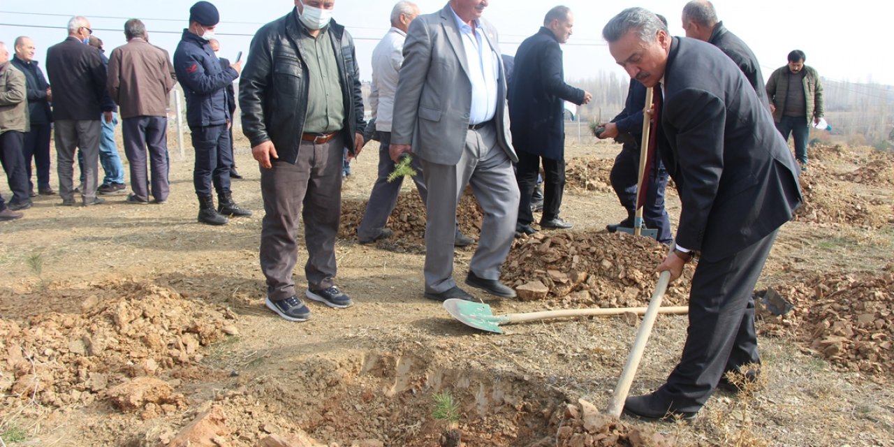 Seydişehir Kızılca Mahallesi'nde bin 600 fidan toprakla buluştu