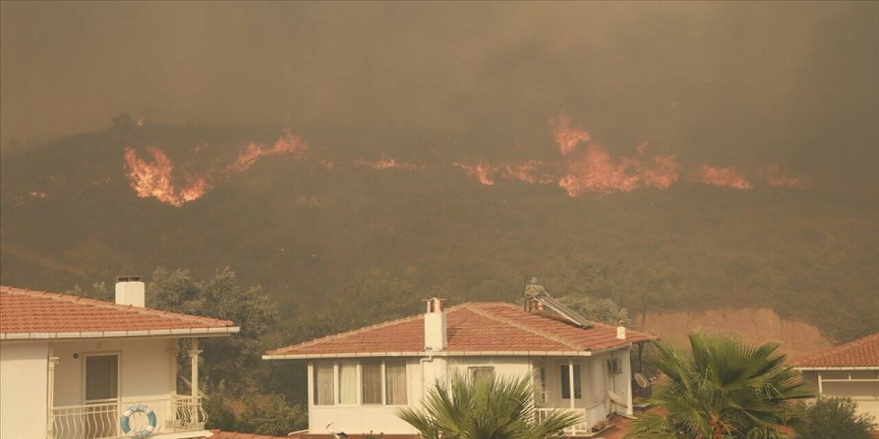 Ormana bitişik parselde yapı inşa edilemeyecek