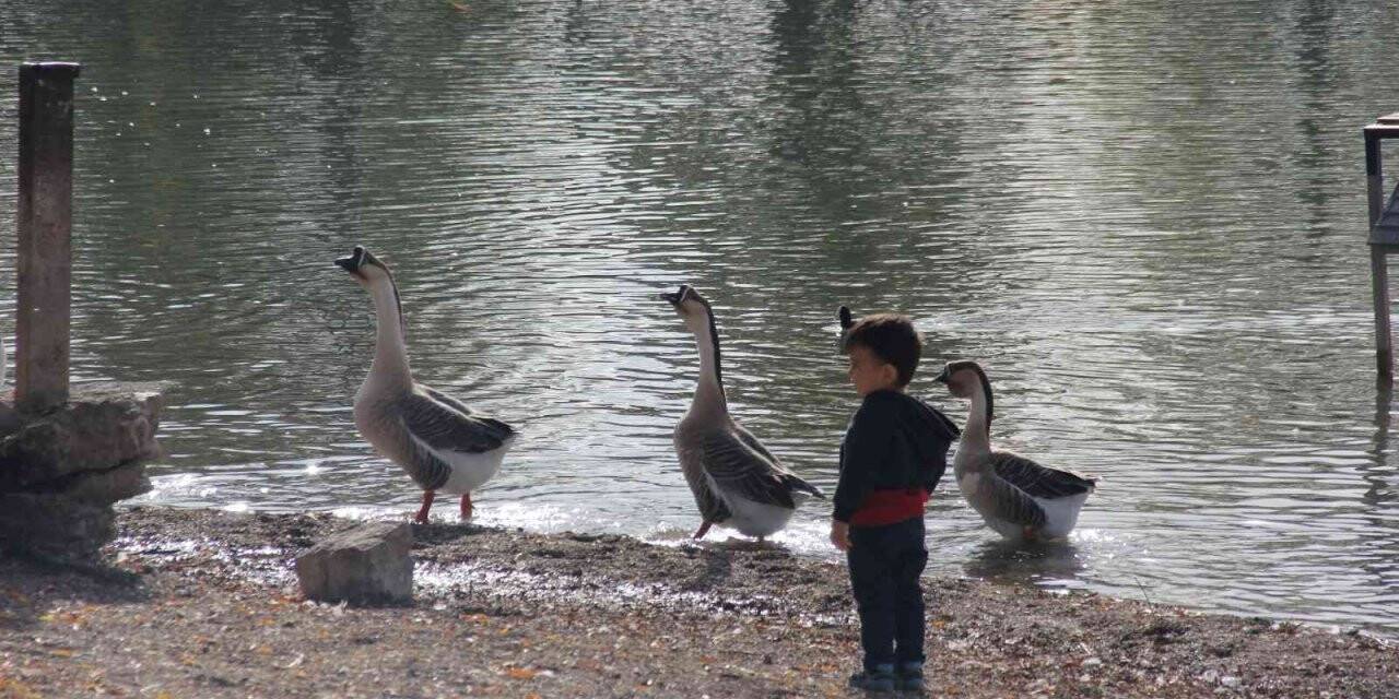 Gölbaşı Gölleri Tabiat Parkı sonbaharda ayrı güzel