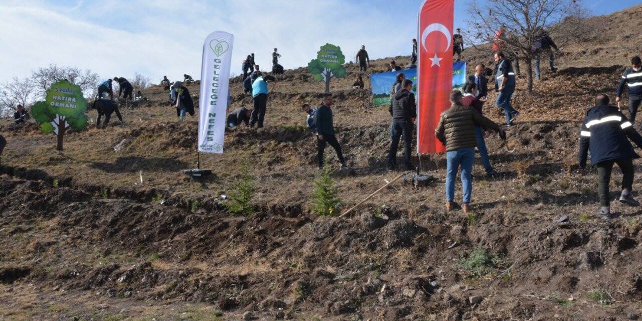 Çorum’da 10 bin fidan toprakla buluştu