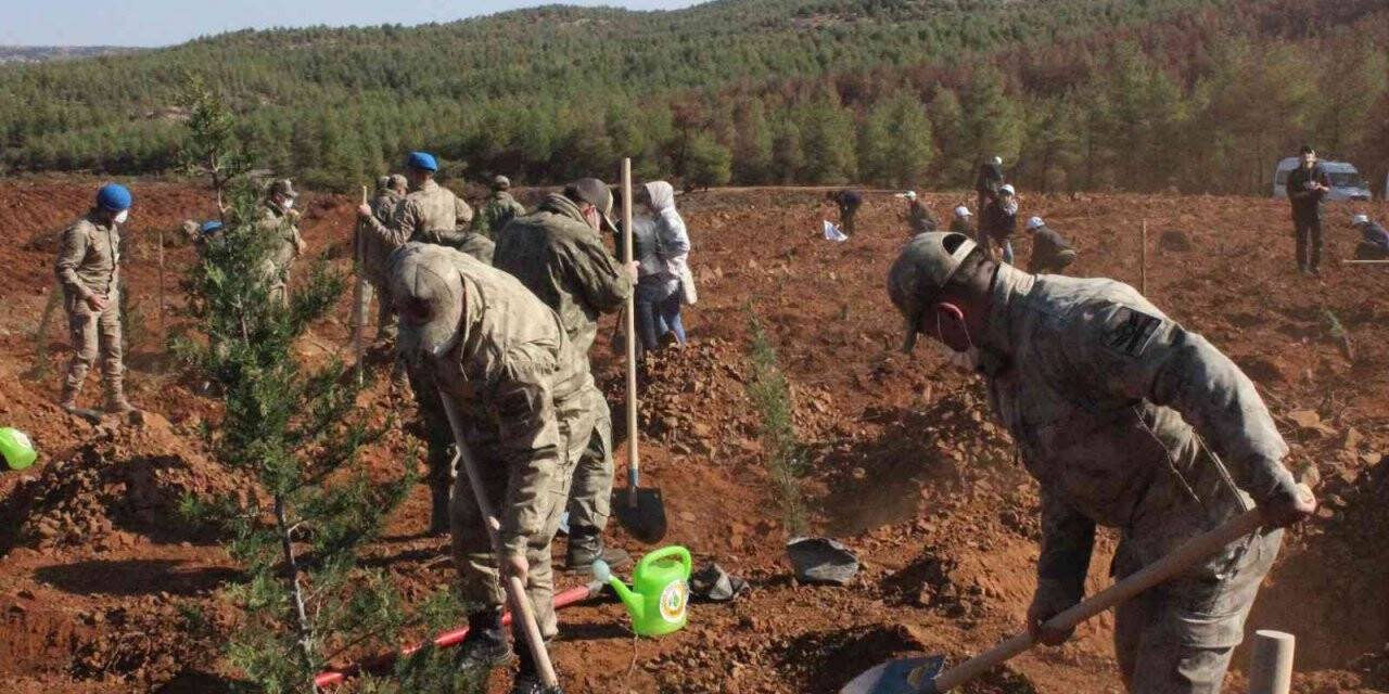 Jandarmadan fidan dikme etkinliği