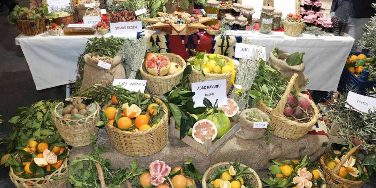 Kahramanmaraş Tarım Gıda ve Hayvancılık Fuarı açıldı