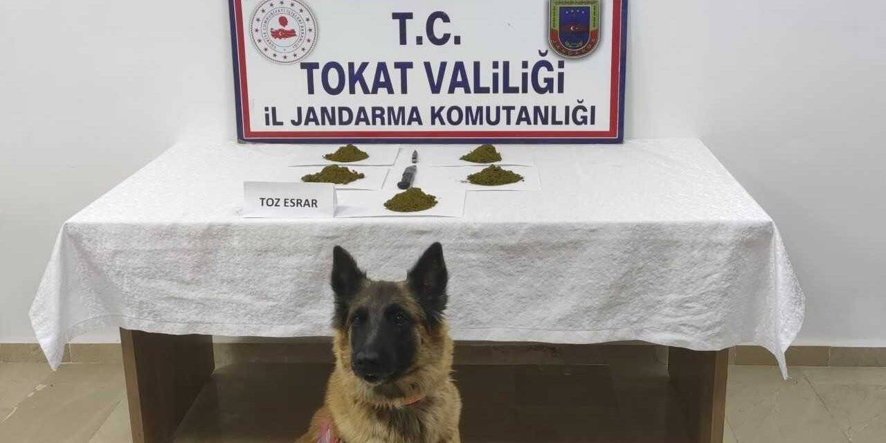Tokat’ta tarihi eser, sahte içki ve uyuşturucu operasyonu: 21 gözaltı