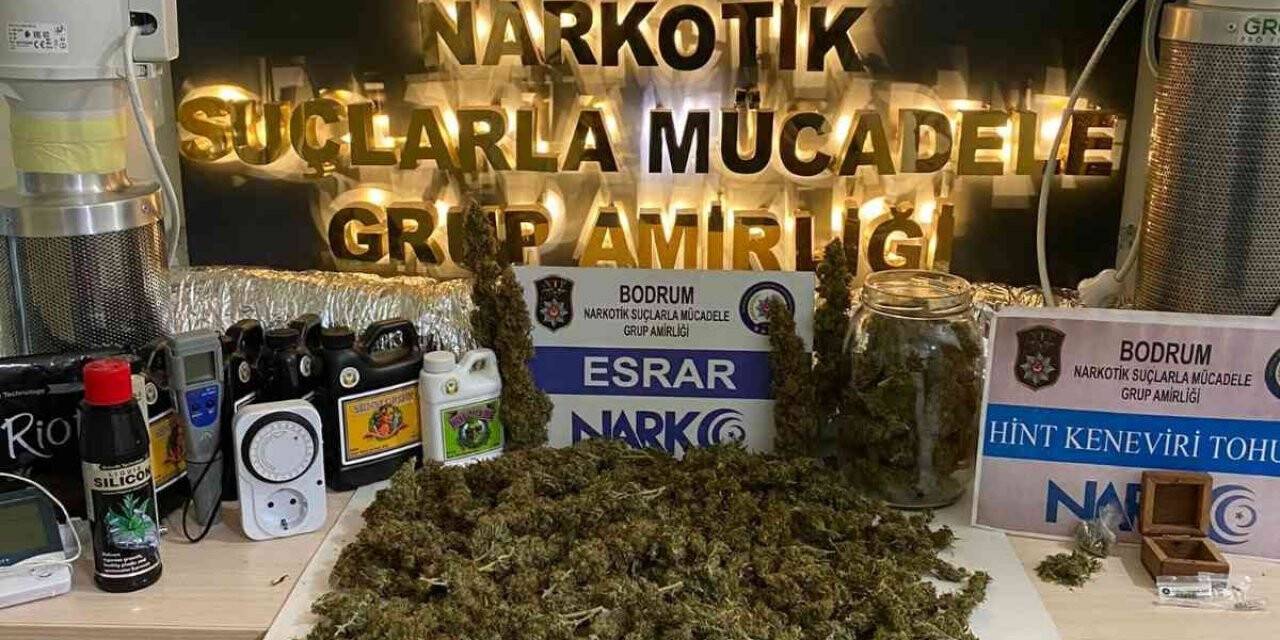Bodrum’da uyuşturucu operasyonu