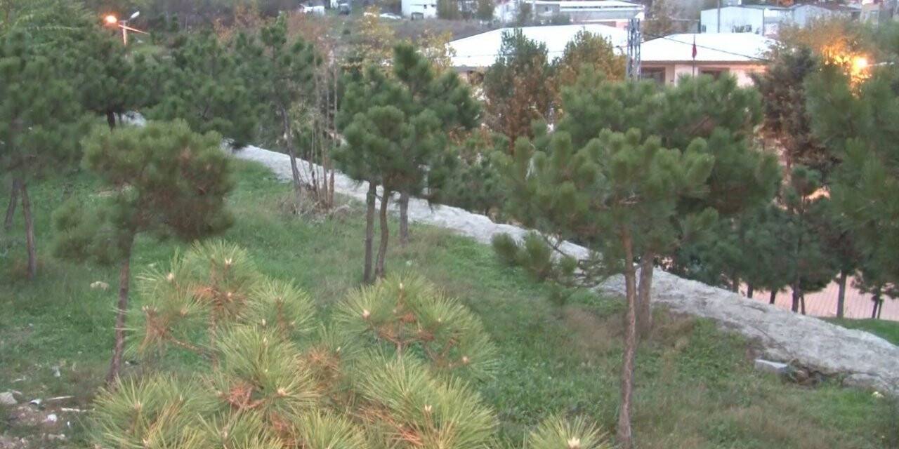 Cami bahçesinde yeni doğmuş bebek cesedi bulundu