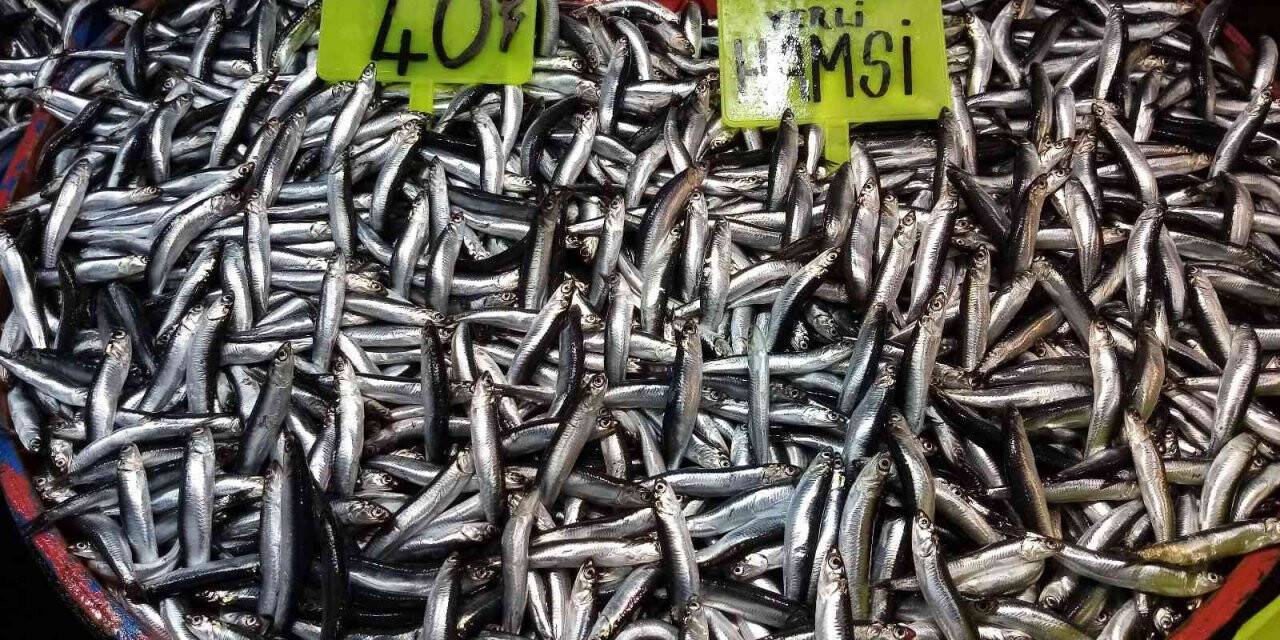 Hamsi azaldı, fiyatlar arttı