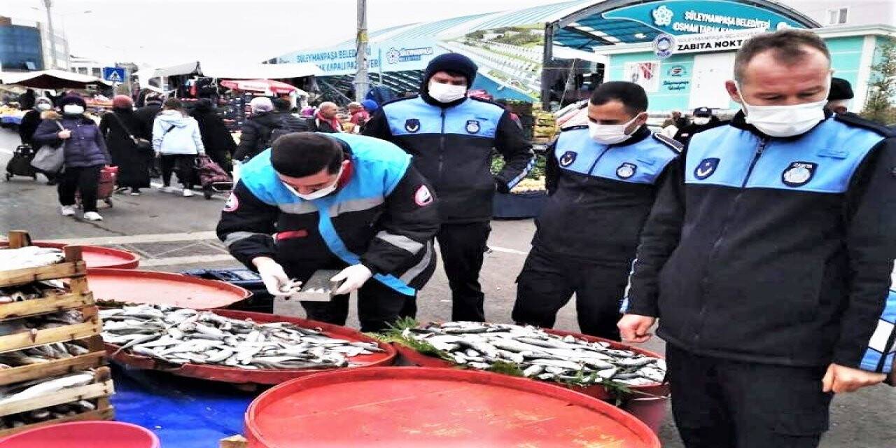 Zabıtadan balıkçılara boy denetimi
