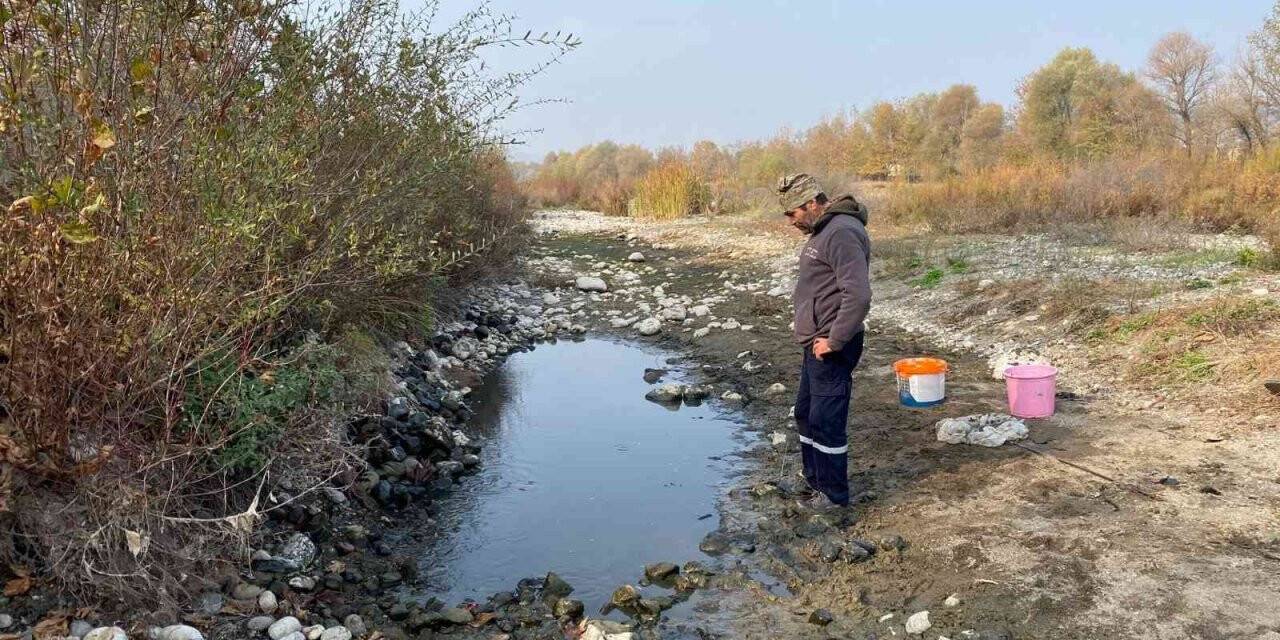 Vatandaşın dikkati binlerce balığı telef olmaktan kurtardı