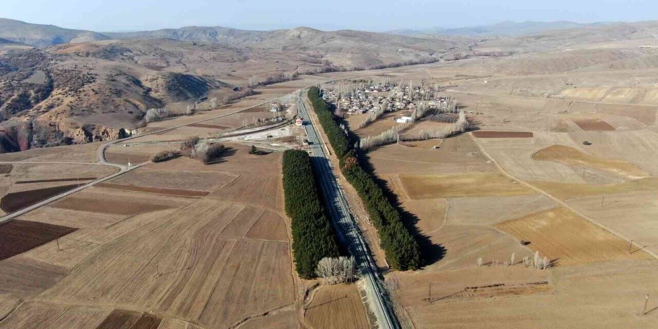Bozkır’ın ortasında ağaç koridoru