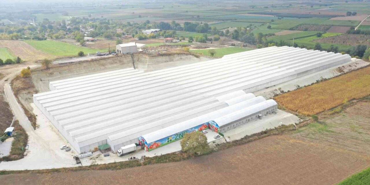 Hindistan cevizi kabuğundan domates üretimi