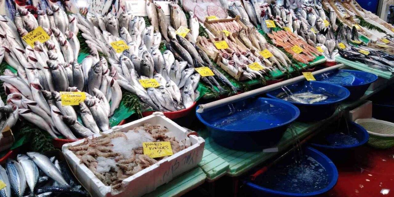 Lüfer azaldı, hamsi ve çinekop bollaştı
