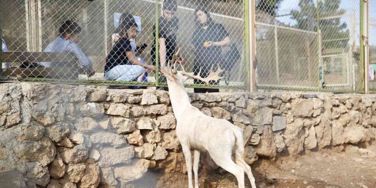 Antalya Hayvanat Bahçesi’nde ara tatil yoğunluğu