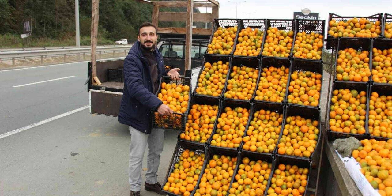 Derepazarı mandalinası tezgaha indi