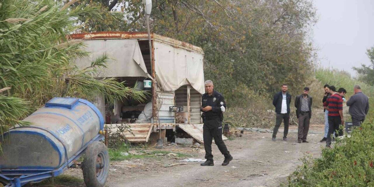 Tarla bekçisi ölü bulundu