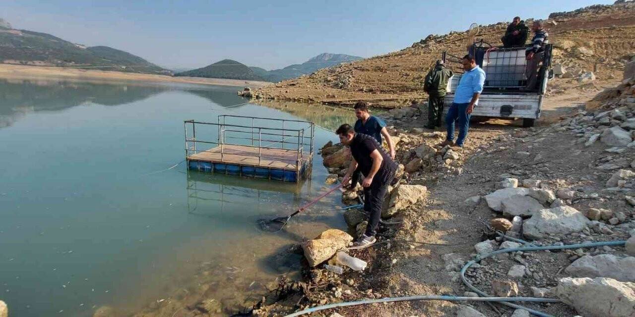 Kuruyan deredeki yavru balıklar kurtarıldı