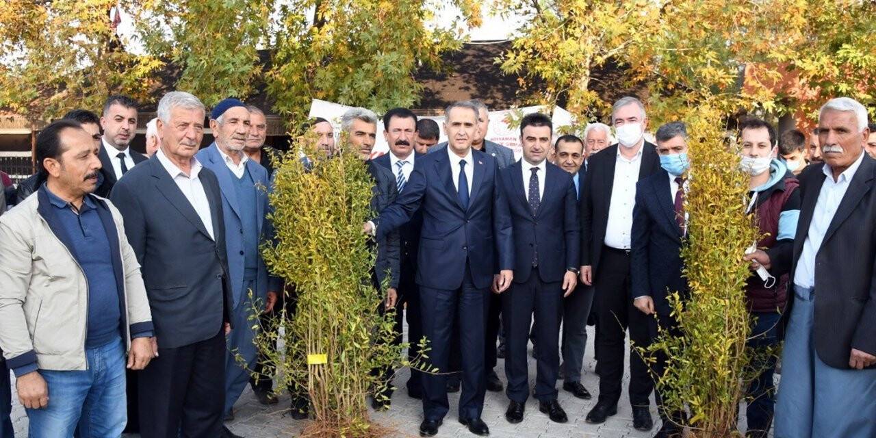 Adıyaman’da çiftçilere nar fidanı dağıtıldı