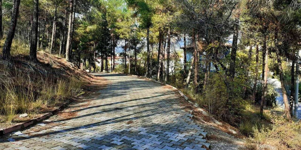 İlçe halkı Arafat tepesinin ışıklandırmasını istiyor