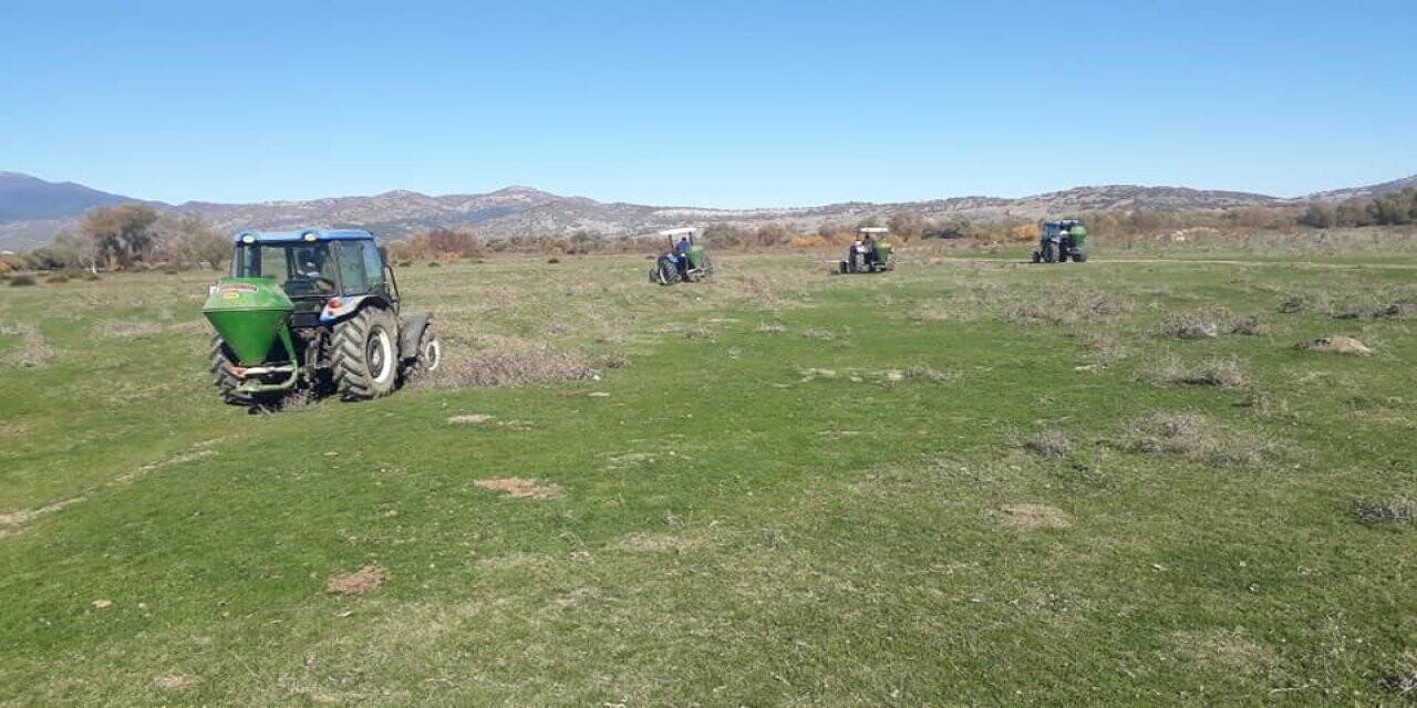 Simav’daki meralarda gübreleme çalışması