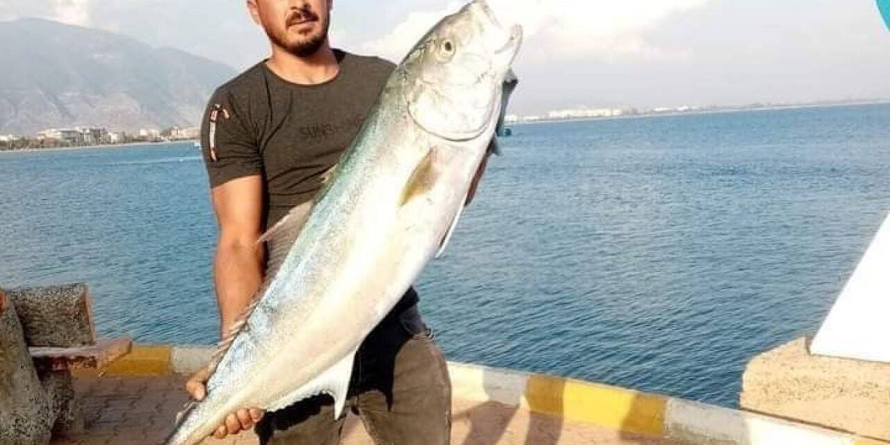 Kıyıdan 17 kiloluk kuzu balığı avladı