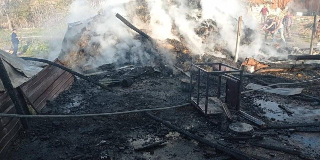 Bilecik’te samanlık yangının 600 balya saman kül oldu