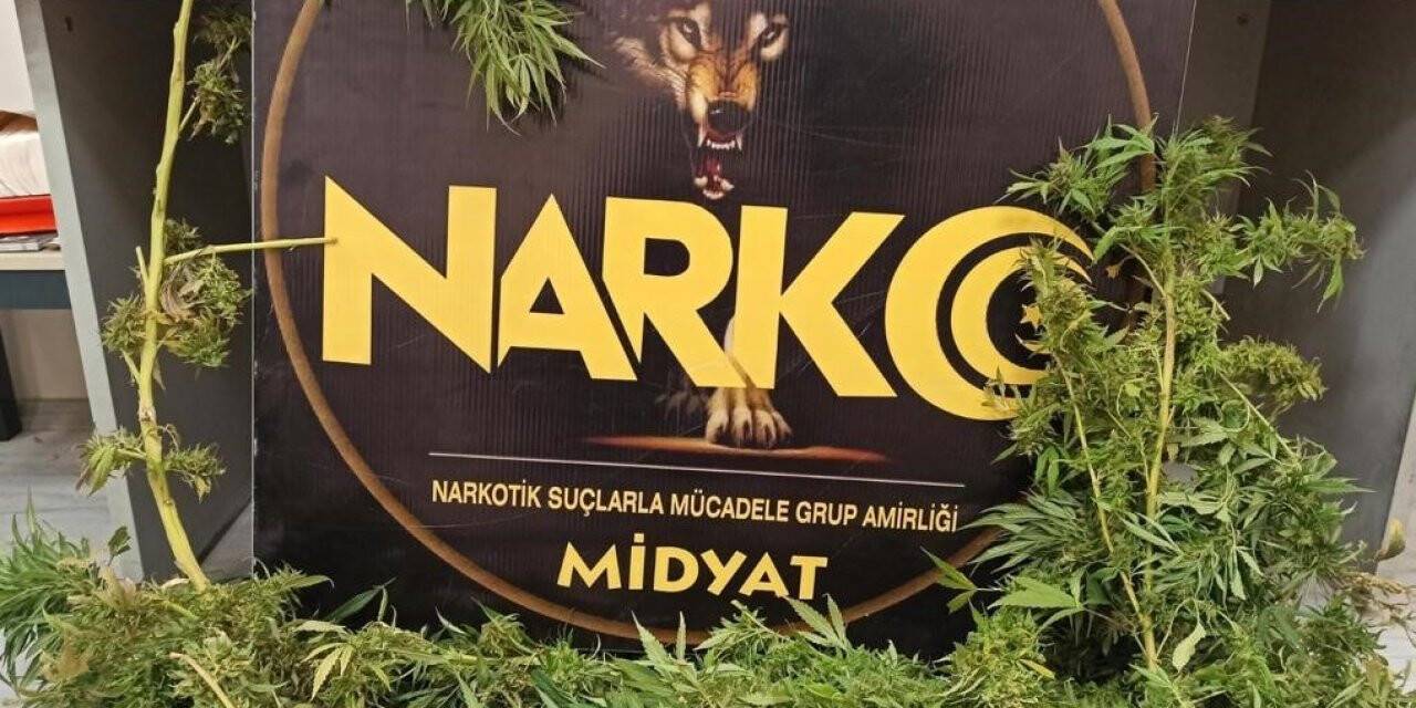 Mardin’de uyuşturucu madde ele geçirildi