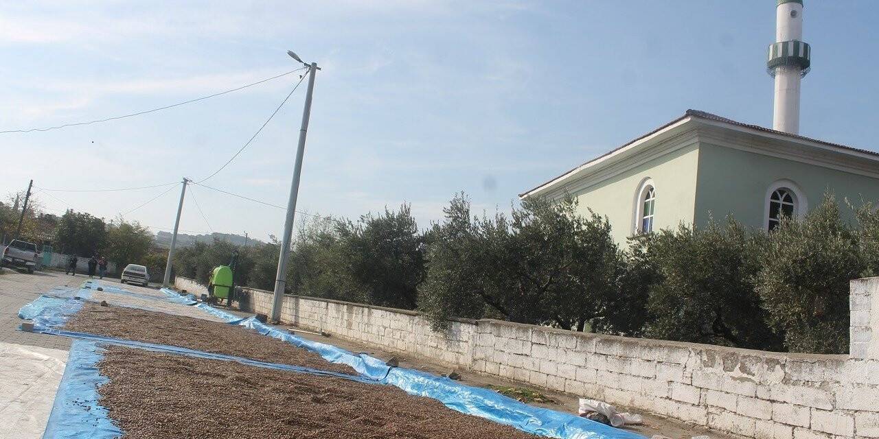 Güneşli havaları fırsat bilen üreticiler, fasulyeleri cadde ve sokaklarda kurutuyor