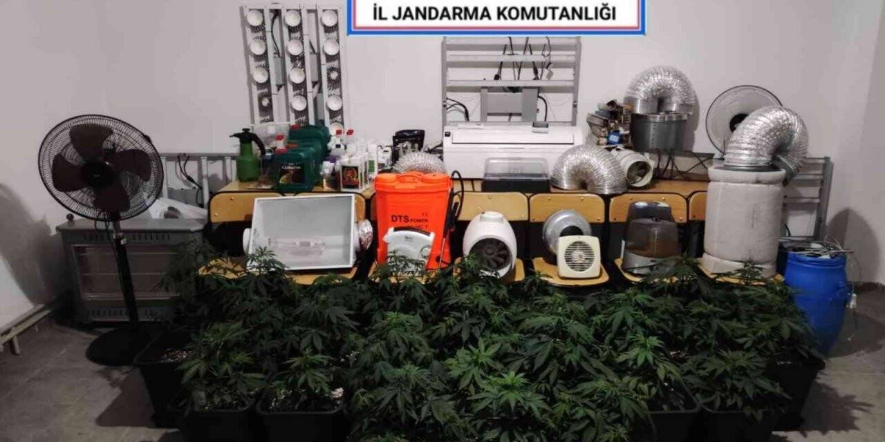 Evinde özel sistem kurarak uyuşturucu yetiştiren şahıs jandarmaya yakalandı