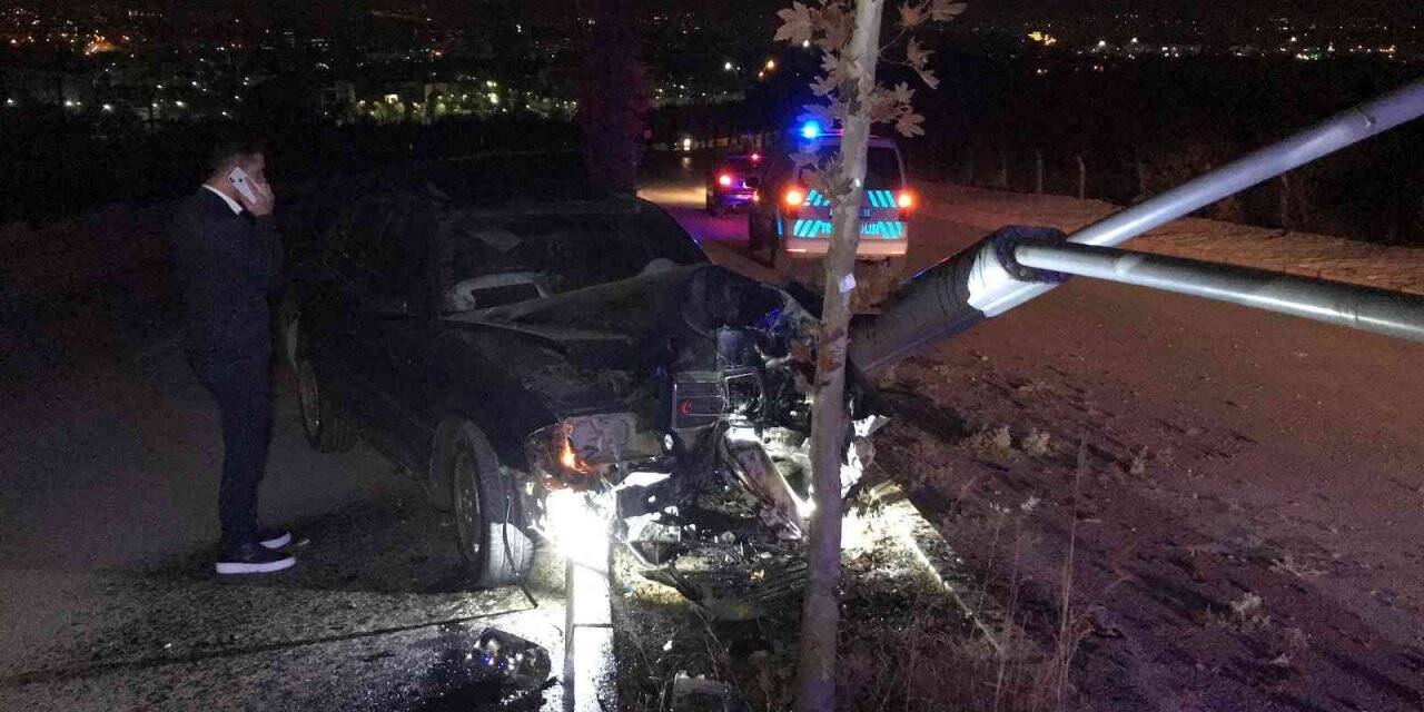 Otomobil aydınlatma direğini ve ağacı devirdi: 1 yaralı