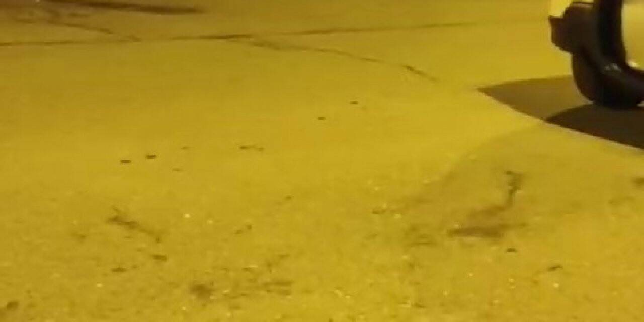 Ataşehir’de düğün çıkışı aile kavgası kamerada
