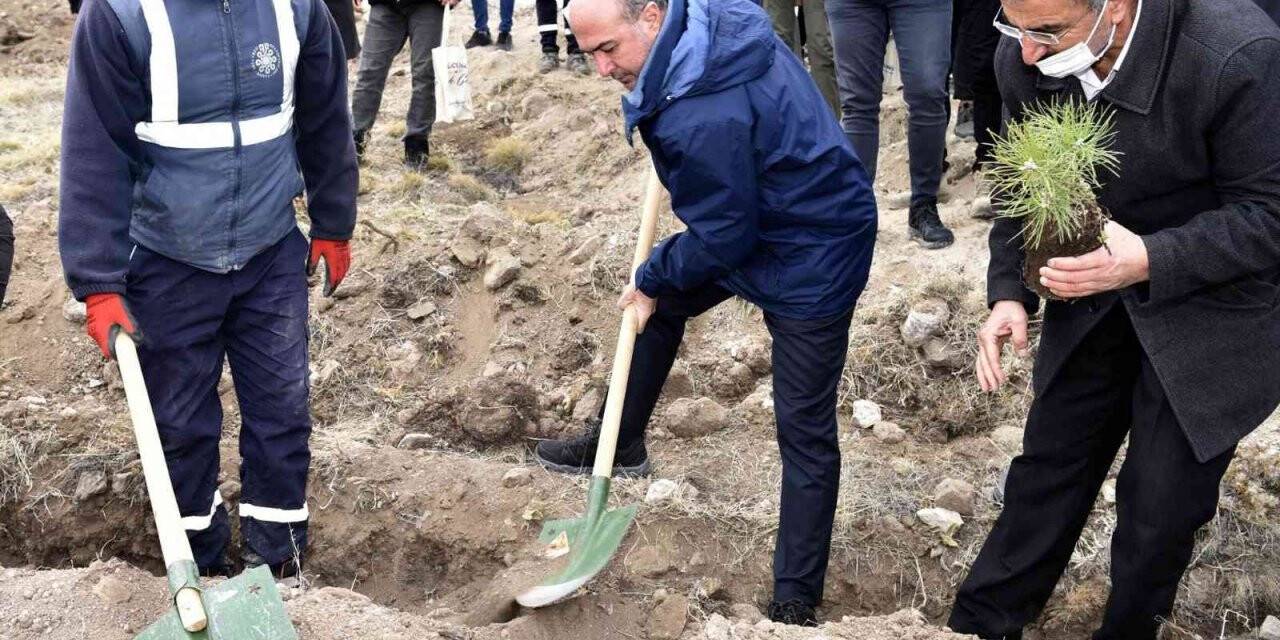Selçuklu’da 3 bin fidan toprakla buluştu