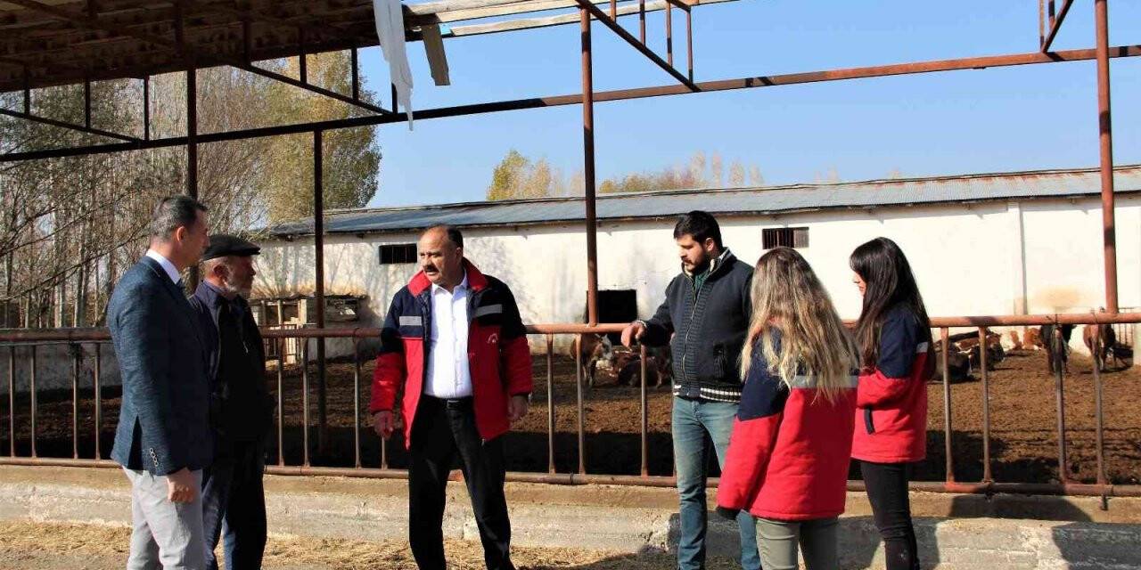 Iğdır’da hayvan işletmeleri ziyaret ediliyor