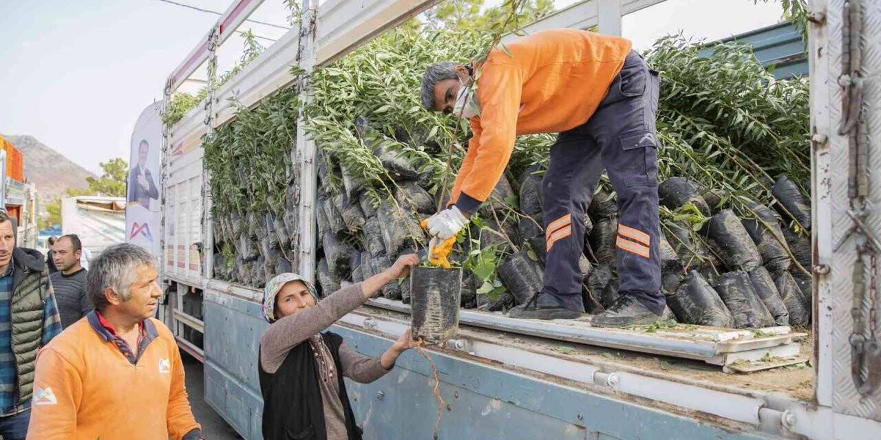 Mersin Büyükşehir Belediyesinden üreticiye badem fidanı desteği