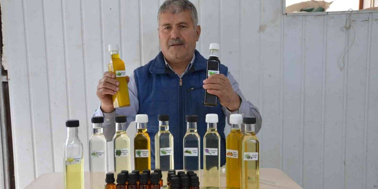 Torosların şifalı bitkilerinden 25 çeşit yağ çıkarıyor